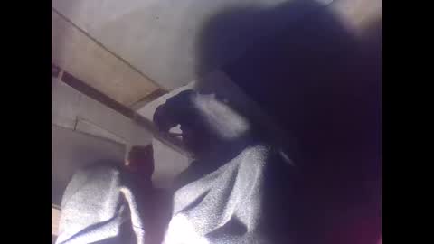 Snapshot of sexy15802 chatting on January 4, 2025, 7:03 am sexy15802 online show from January 4, 2025, 7:03 am