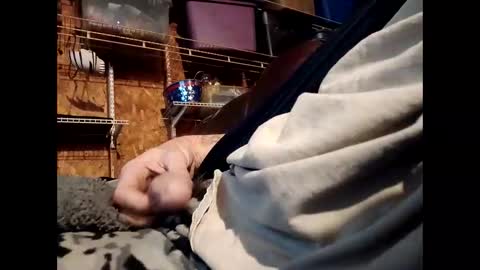    RICHY    online show from November 1, 2025, 1:57 pm