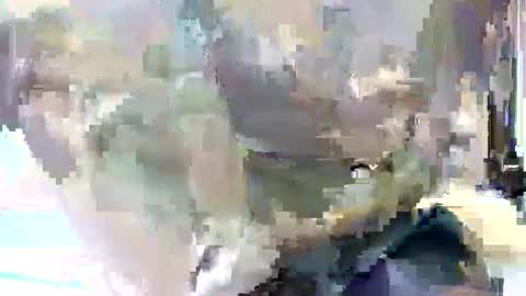 taiyan online show from February 4, 2025, 11:16 am