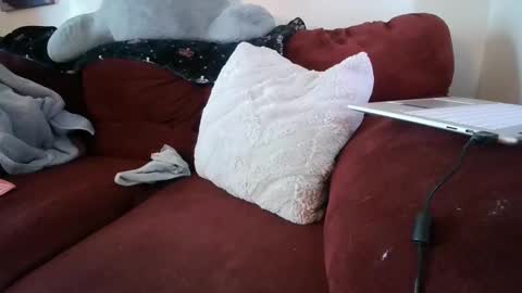 sexysulttakesit online show from April 9, 2026, 3:50 pm