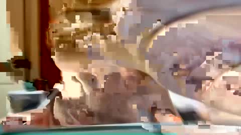 Snapshot of sexyy_red08 chatting on November 2, 2025, 6:49 am sexyy_red08 online show from November 2, 2025, 6:49 am