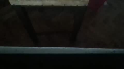 Snapshot of sexyyphilip chatting on March 12, 2025, 2:52 am sexyyphilip online show from March 12, 2025, 2:52 am