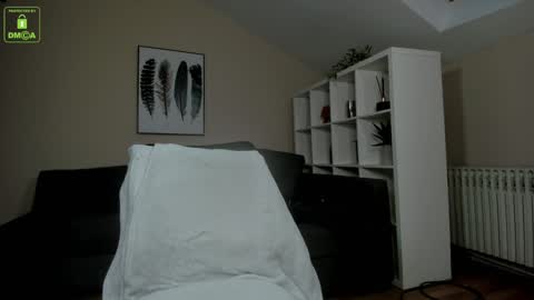 Snapshot of shawnolsen chatting on January 4, 2025, 6:30 am Shawn Olsen online show from January 4, 2025, 6:30 am