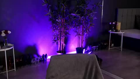 Snapshot of shayblonde chatting on February 15, 2025, 8:54 am shayblonde online show from February 15, 2025, 8:54 am