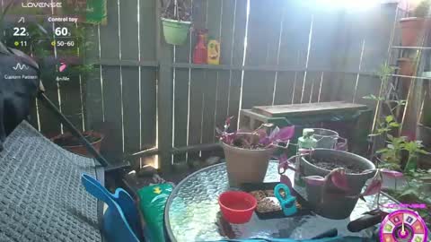 Snapshot of sheilyn_smith chatting on June 2, 2026, 2:02 am sheilyn_smith online show from June 2, 2026, 2:02 am