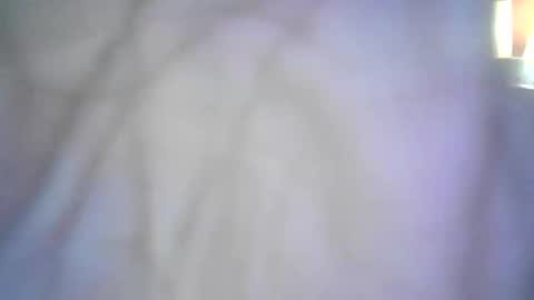 shellbel46290 online show from January 16, 2026, 5:00 am