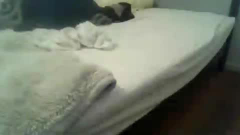 Snapshot of showherenow chatting on July 29, 2026, 8:34 am showherenow online show from July 29, 2026, 8:34 am