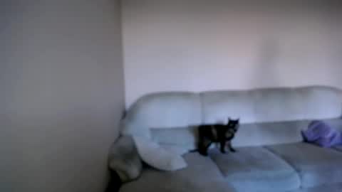 Snapshot of shy_sabrina_ chatting on April 26, 2026, 3:53 pm shy_sabrina_ online show from April 26, 2026, 3:53 pm