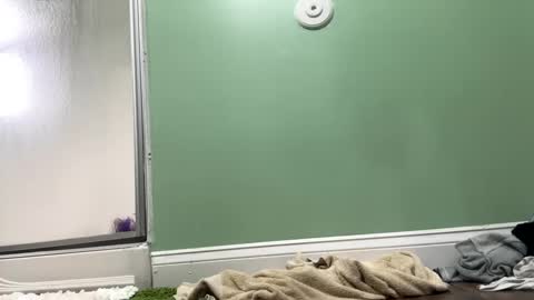 Sasha online show from February 27, 2025, 9:36 pm