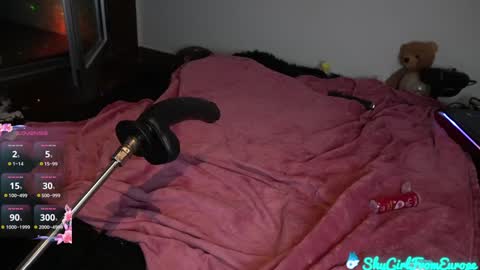 Snapshot of shygirlfromeurope chatting on January 31, 2025, 12:28 am Vivian online show from January 31, 2025, 12:28 am