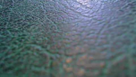 Snapshot of shyredstar chatting on February 19, 2026, 6:42 am Tom and Betty online show from February 19, 2026, 6:42 am