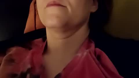 Snapshot of sigbver chatting on March 6, 2026, 4:09 am Bush with a class 3 rating online show from March 6, 2026, 4:09 am