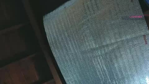 silvabranko online show from April 13, 2026, 1:11 am