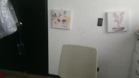 Snapshot of silvanaroberts_ chatting on May 2, 2026, 4:01 pm Rouse online show from May 2, 2026, 4:01 pm