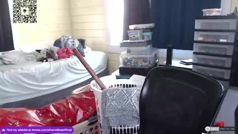 Snapshot of silver_willow chatting on December 16, 2024, 4:49 pm Willow online show from December 16, 2024, 4:49 pm
