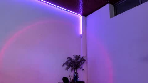 Simn online show from February 15, 2025, 6:55 pm