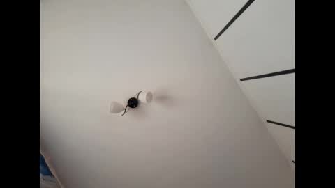 simpledi online show from March 10, 2025, 7:42 am