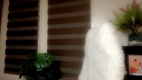 Snapshot of simplyjullia chatting on January 6, 2026, 9:24 am online show from January 6, 2026, 9:24 am