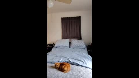 Snapshot of simplysarah1225 chatting on February 17, 2026, 4:24 pm simplysarah1225 online show from February 17, 2026, 4:24 pm