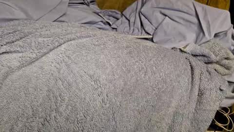 Sinseason online show from December 3, 2024, 9:22 am