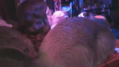 Siofra online show from March 6, 2025, 9:25 am