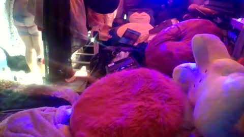 Siofra online show from March 16, 2026, 5:39 pm