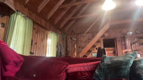 sirbubblesworth online show from January 10, 2025, 9:42 pm