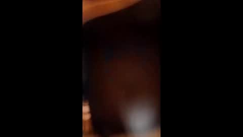 Snapshot of sissybottomcock chatting on December 4, 2025, 6:55 am sissybottomcock online show from December 4, 2025, 6:55 am