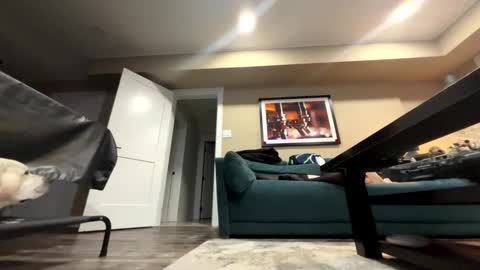 Snapshot of sissyinheelsbbc chatting on November 9, 2025, 2:21 am sissyinheelsbbc online show from November 9, 2025, 2:21 am