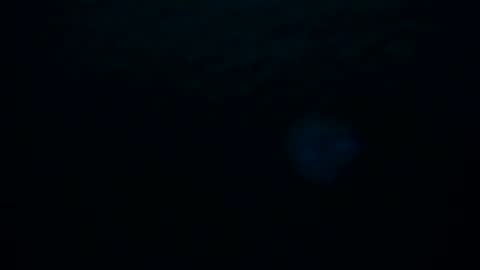 Snapshot of skarletsexy chatting on October 8, 2025, 2:20 am Skarlet online show from October 8, 2025, 2:20 am