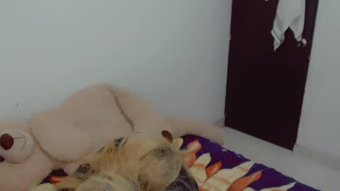 Arlett online show from April 20, 2026, 6:16 am