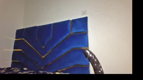 skinnyasssexyboobs online show from March 29, 2026, 7:25 pm