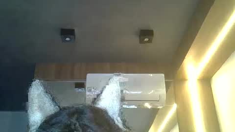Snapshot of skinnykittencam chatting on February 8, 2026, 8:23 pm skinnykittencam online show from February 8, 2026, 8:23 pm