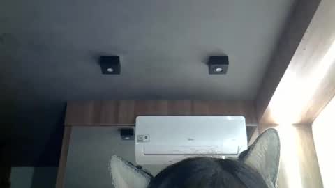 Snapshot of skinnykittencam chatting on March 2, 2026, 11:06 am skinnykittencam online show from March 2, 2026, 11:06 am