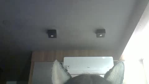 Snapshot of skinnykittencam chatting on March 14, 2026, 9:26 am skinnykittencam online show from March 14, 2026, 9:26 am