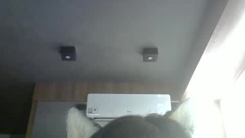 Snapshot of skinnykittencam chatting on March 24, 2026, 5:51 pm skinnykittencam online show from March 24, 2026, 5:51 pm