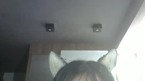 Snapshot of skinnykittencam chatting on March 28, 2026, 4:01 am skinnykittencam online show from March 28, 2026, 4:01 am
