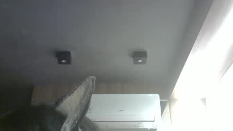 Snapshot of skinnykittencam chatting on March 30, 2026, 4:46 am skinnykittencam online show from March 30, 2026, 4:46 am