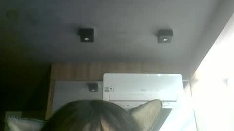 Snapshot of skinnykittencam chatting on July 7, 2026, 7:34 am skinnykittencam online show from July 7, 2026, 7:34 am