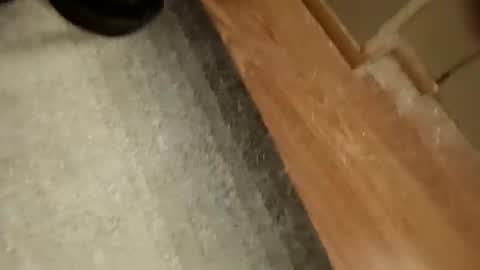 Snapshot of slickdog58 chatting on September 19, 2025, 7:47 pm slickdog58 online show from September 19, 2025, 7:47 pm