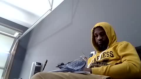 Snapshot of slickerthan12 chatting on February 8, 2025, 6:44 pm BBC Hanging online show from February 8, 2025, 6:44 pm