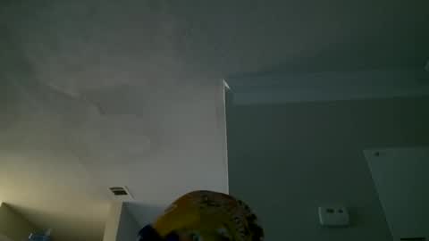 slimmmgooodiexoxo online show from September 26, 2025, 11:14 am