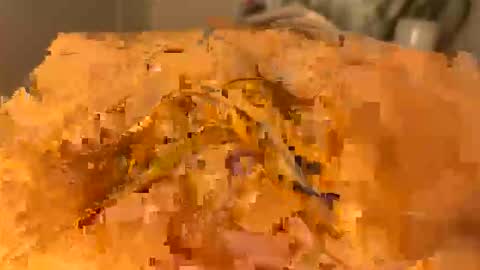 slipmytip online show from December 5, 2025, 11:08 am