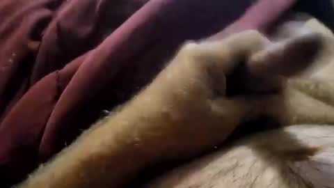 slitlicke69696969 online show from September 19, 2025, 1:56 pm