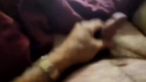 slitlicke69696969 online show from September 21, 2025, 10:28 am