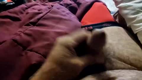 slitlicke69696969 online show from October 20, 2025, 9:10 am