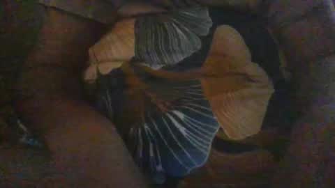 Snapshot of slothslav chatting on December 18, 2024, 12:40 pm slothslav online show from December 18, 2024, 12:40 pm