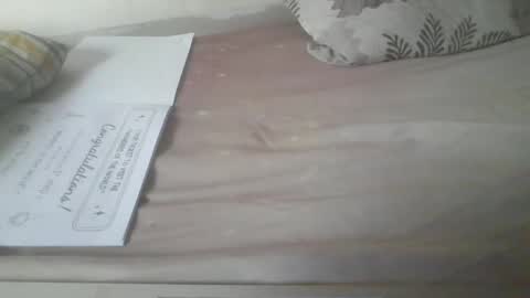 Snapshot of slothslav chatting on February 6, 2025, 8:07 am slothslav online show from February 6, 2025, 8:07 am