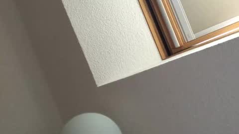 Bernd online show from September 18, 2025, 2:30 pm