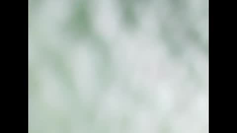 small wood21 online show from December 22, 2025, 11:51 am